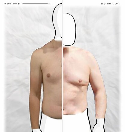Torso Comparison