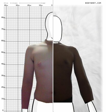 Torso Comparison