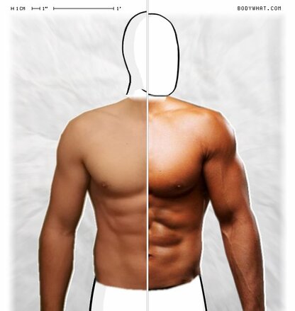 Torso Comparison