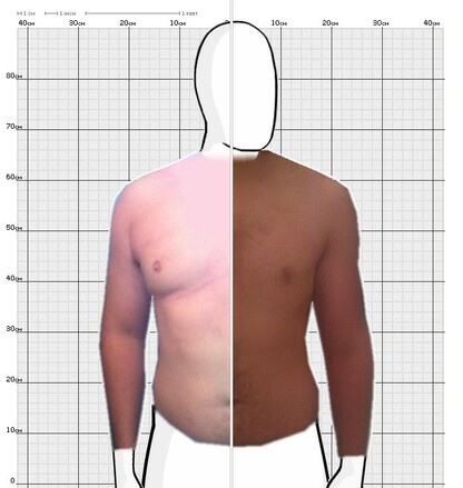 Torso Comparison