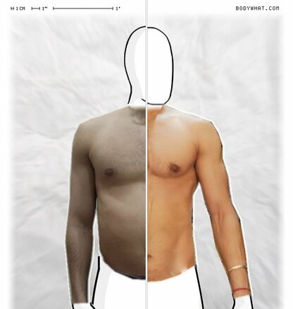 Torso Comparison