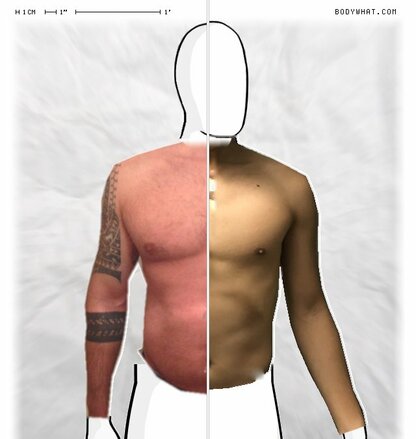 Torso Comparison