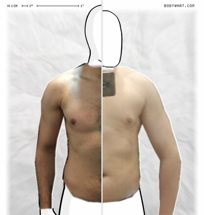 Torso Comparison