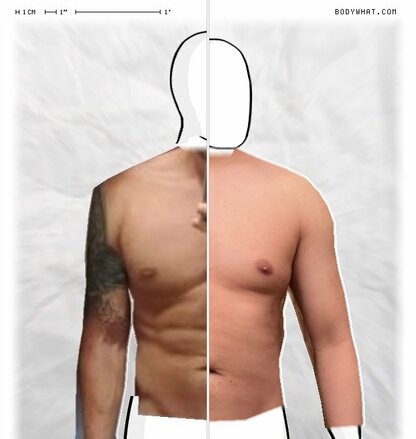 Torso Comparison