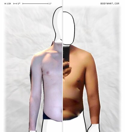 Torso Comparison