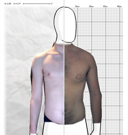 Torso Comparison