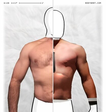 Torso Comparison