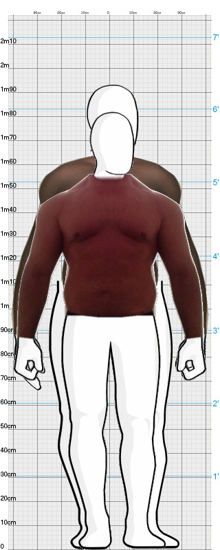 Full Size Comparison
