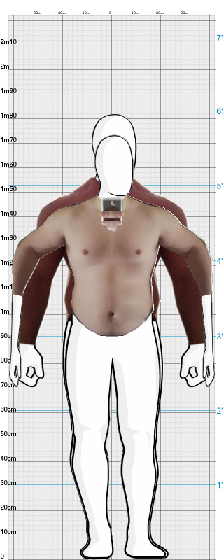 Full Size Comparison