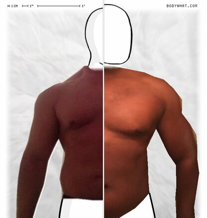 Torso Comparison