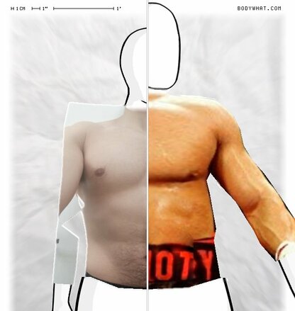 Torso Comparison