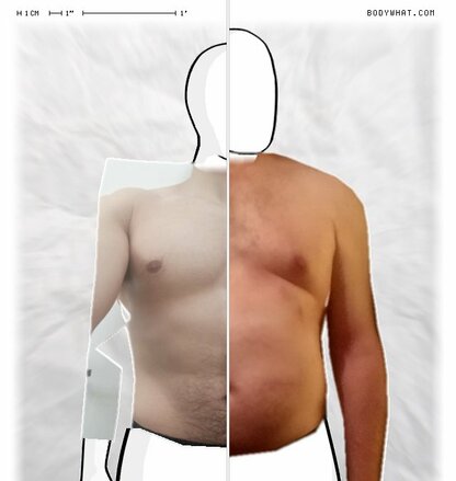 Torso Comparison