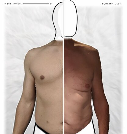 Torso Comparison