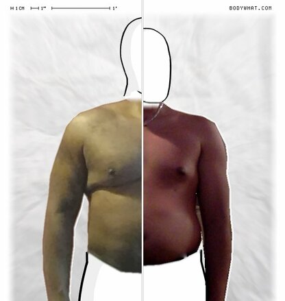 Torso Comparison
