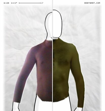 Torso Comparison