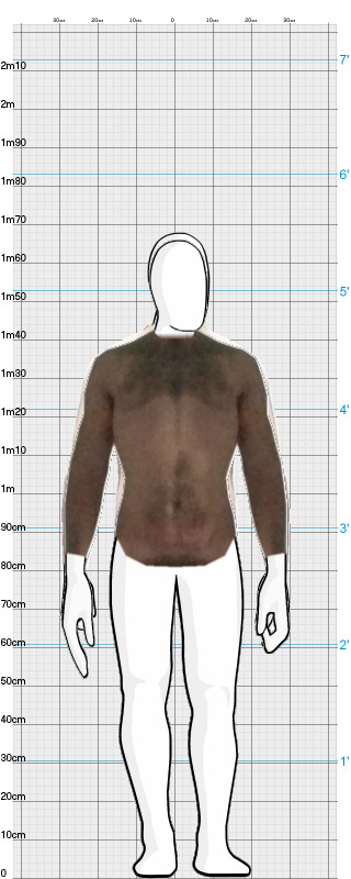 Full Size Comparison