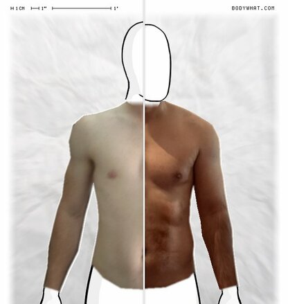 Torso Comparison