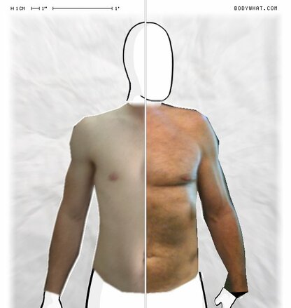 Torso Comparison