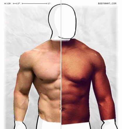 Torso Comparison