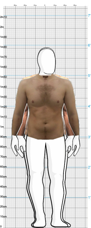 Full Size Comparison