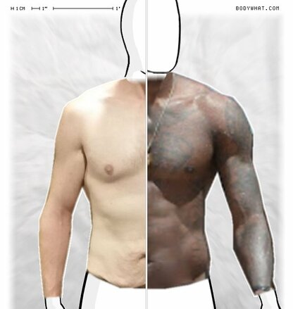 Torso Comparison