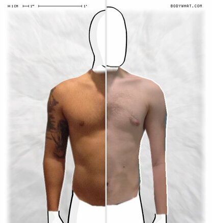 Torso Comparison