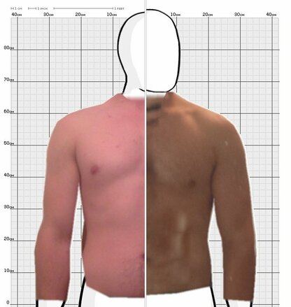 Torso Comparison