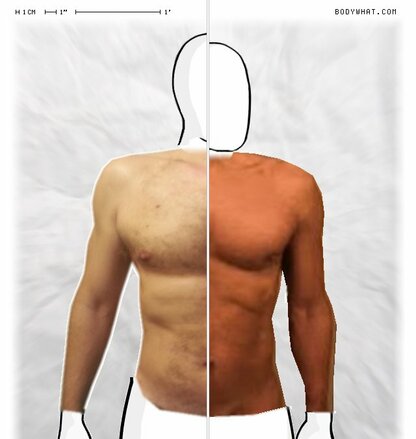 Torso Comparison