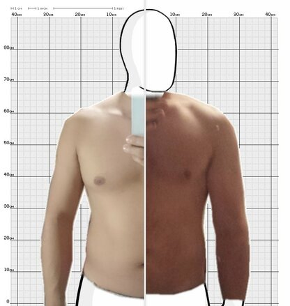 Torso Comparison