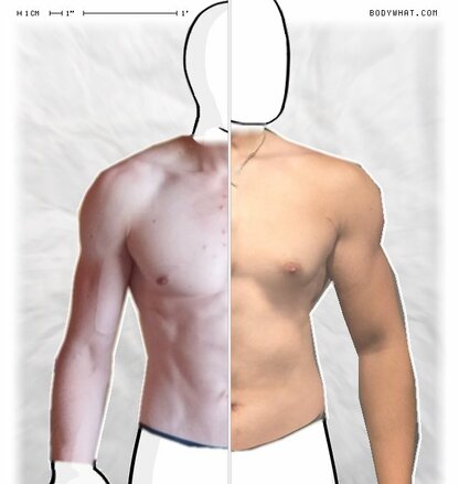 Torso Comparison