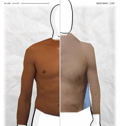 Torso Comparison