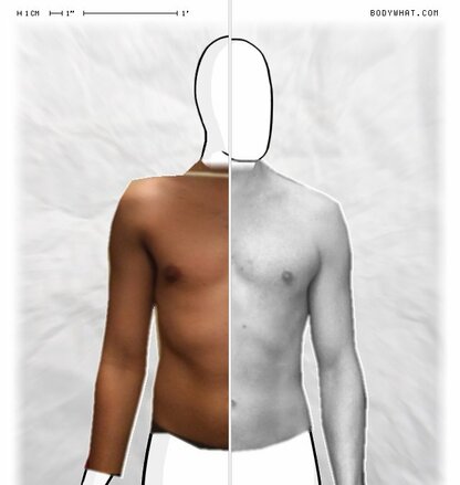 Torso Comparison
