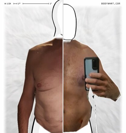 Torso Comparison