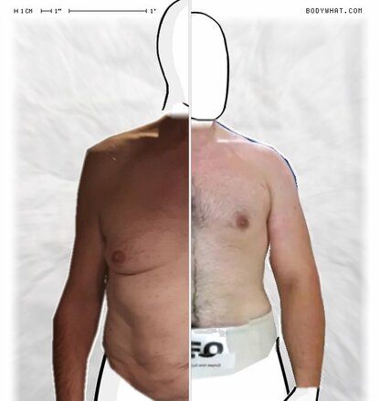 Torso Comparison
