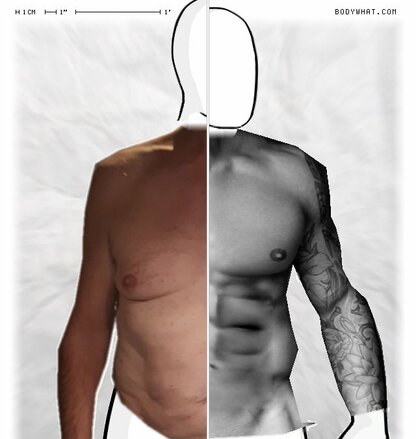 Torso Comparison