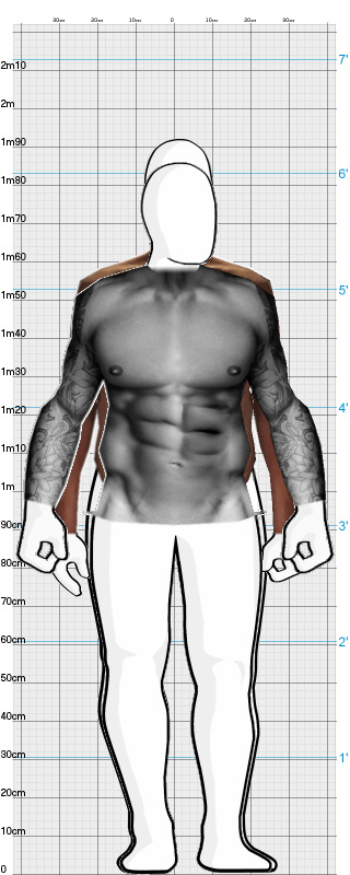 Full Size Comparison