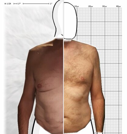 Torso Comparison