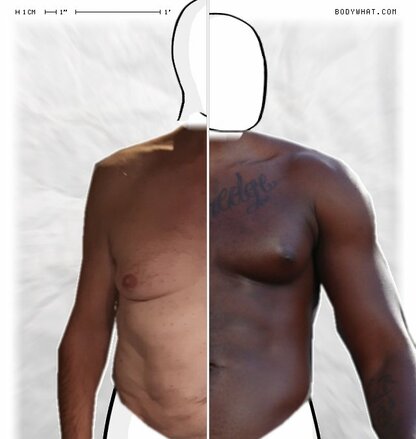 Torso Comparison