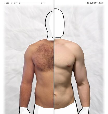Torso Comparison