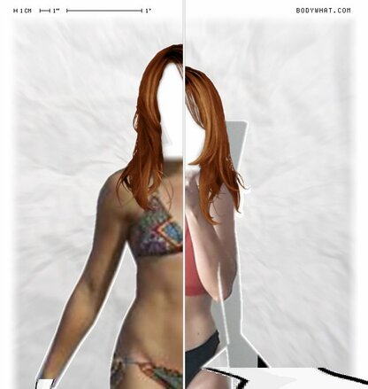 Torso Comparison