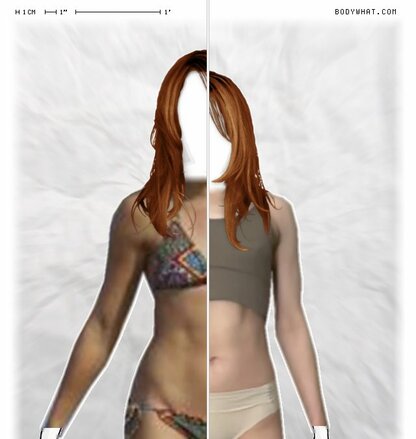 Torso Comparison