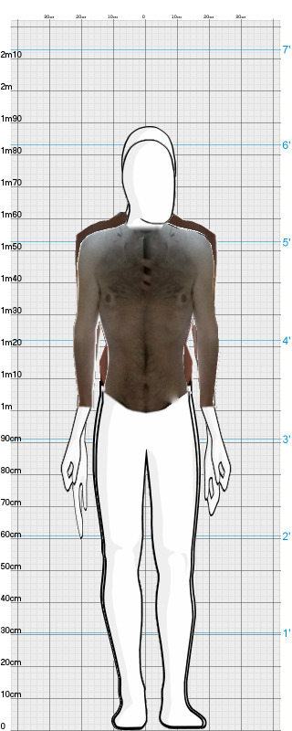 Full Size Comparison