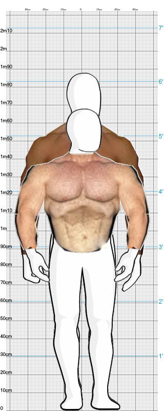 Full Size Comparison