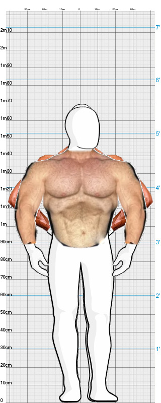 Full Size Comparison