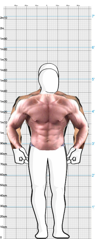 Full Size Comparison