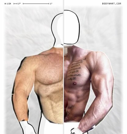 Torso Comparison