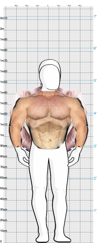 Full Size Comparison