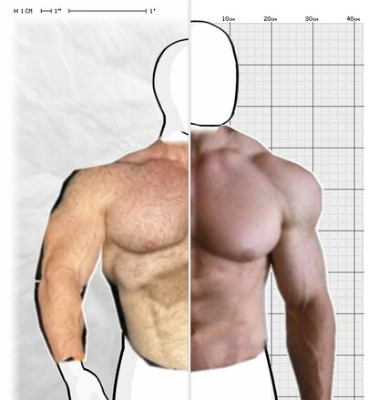 Torso Comparison