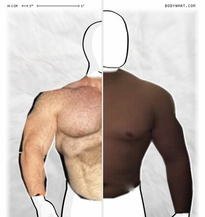 Torso Comparison