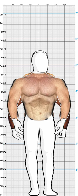 Full Size Comparison